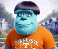 Tennessee Volunteers GIF