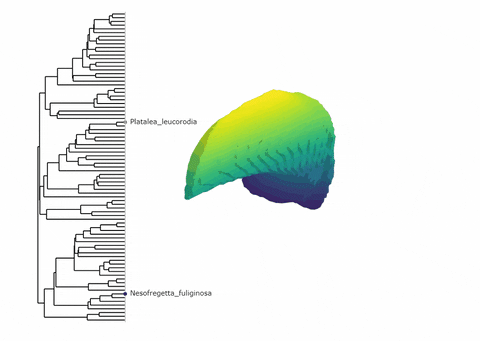ecologician giphyupload GIF