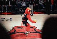 Benny The Bull Success GIF by Chicago Bulls