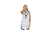 Basketball No Sticker by Delaware Blue Hens