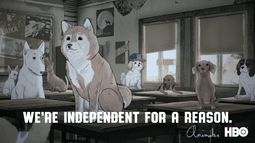 we're independent season 3 GIF by Animals