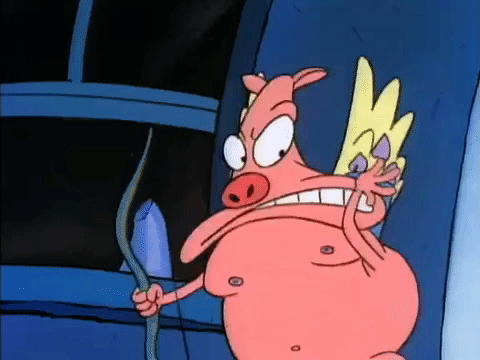 rockos modern life nicksplat GIF