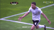 celebrate sl benfica GIF by Sport Lisboa e Benfica