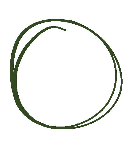 Circle Effects Sticker by Kukkakauppa Kastanja