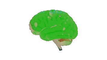 nitepunk edm bass electronic dance music Sticker