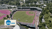 GIF by Virginia Athletics