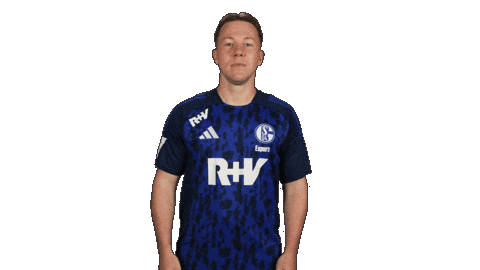 Schalke 04 Football Sticker by Bundesliga