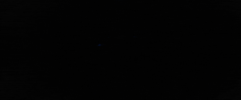 Black And Blue Running GIF by Goodboys