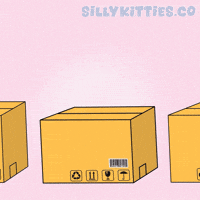 Happy Cat GIF by Silly Kitties