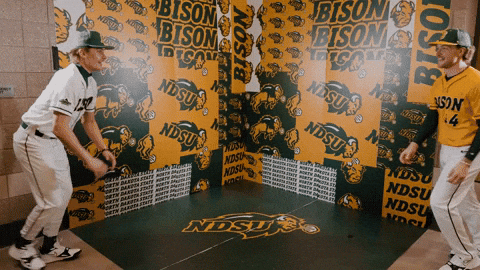 Baseball Bison GIF by NDSU Athletics