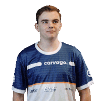 Team Esports Sticker by VirtualGP