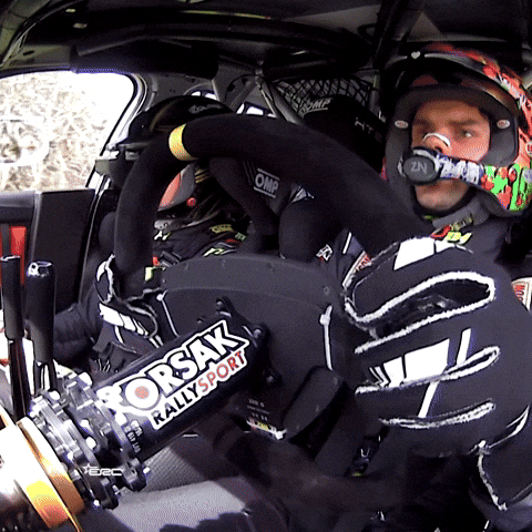 Erc Dashcam GIF by FIA European Rally Championship
