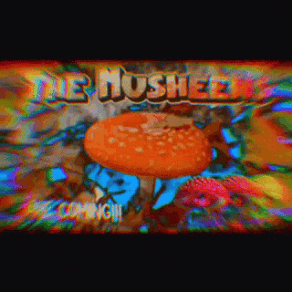 Westy3000 westy3000 the musheens GIF
