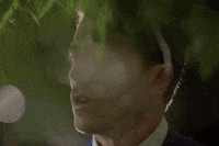thebachelorau the bachelor au the bachelor australia GIF
