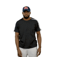 Pk Watch It Sticker by Red Bull