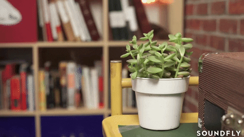 micing a plant tiny mic GIF by Soundfly