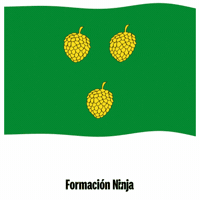 Flag Spain GIF by Formación Ninja