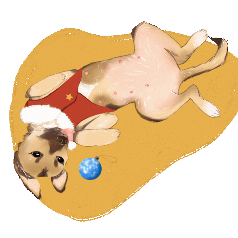 athaisrangel giphyupload dog natal roupa Sticker