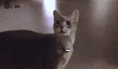 G-Dragon Gd GIF