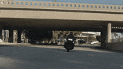 Brand Adventure GIF by Harley-Davidson