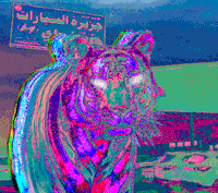 digital art animation GIF by mahmood