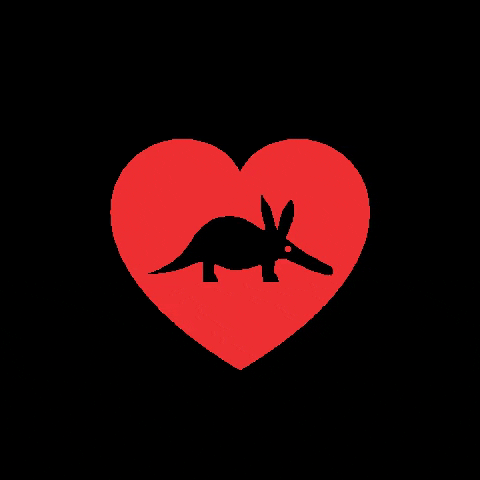 Heart Aardvark GIF by Aims Community College