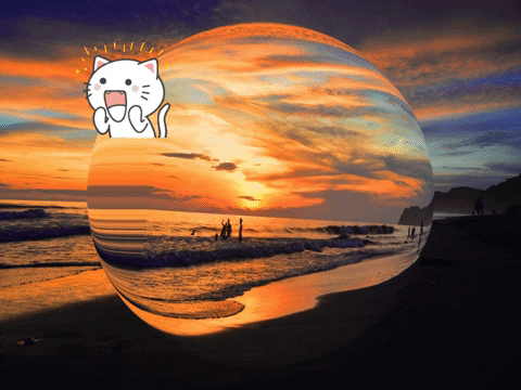 You Can Love GIF by FranchiseCHECK.de
