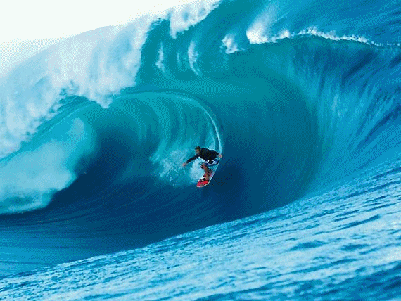 surf GIF