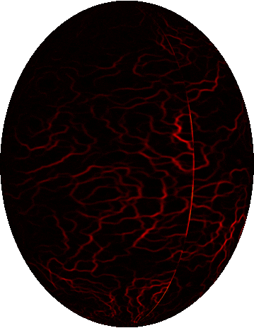 lava STICKER