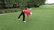 GIF by Wilson Golf