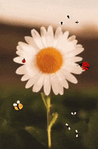 Happy Spring GIF