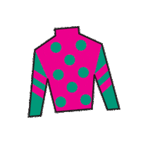 Horse Racing Sticker by Kentucky Derby