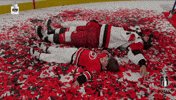 Celebrate National Hockey League GIF by NHL