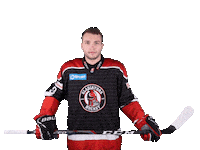 tiposshl sport hockey hokej gladiators Sticker