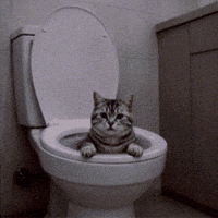 See Ya Goodbye GIF