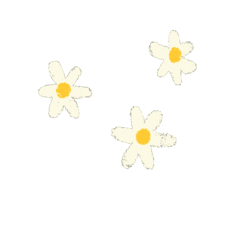 louxillust giphyupload flower daisy 花 Sticker