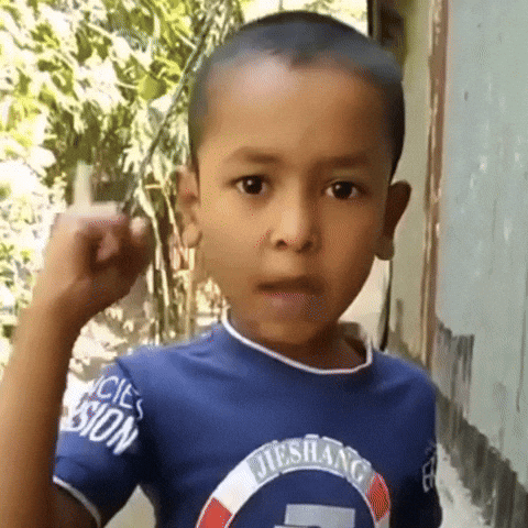 Sheikh Hasina Bangladesh GIF