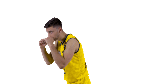 Ewe Baskets Basketball Sticker by EWE Baskets Oldenburg