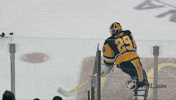 marc andre fleury hockey GIF by NHL