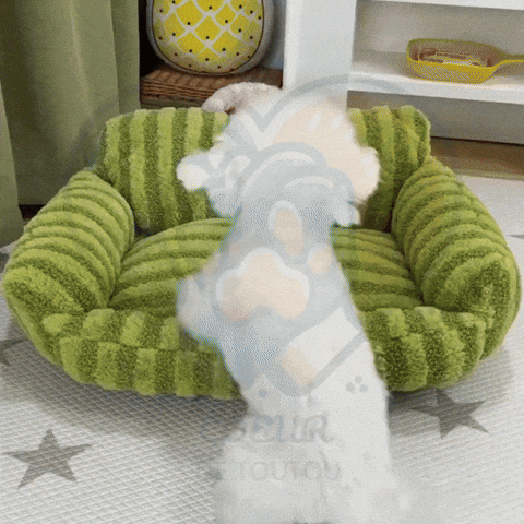 CocoonToutou™ – canapé cocon 360° pour petit chien