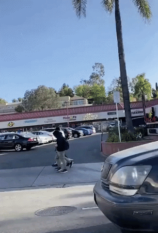 cuteanimalland giphyupload GIF