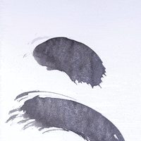 Black And White Art GIF