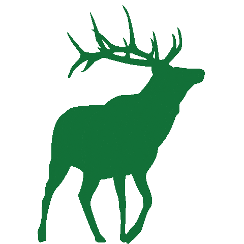 Tule Elk Ocean Sticker by Resource Renewal Institute