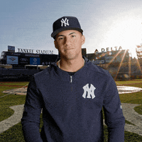delta nope no way yankees ny yankees GIF