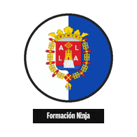Comunidad Valenciana Flag Sticker by Formación Ninja