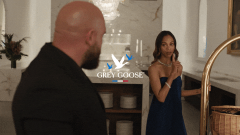 Surprise Greygoose GIF by GREY GOOSE® Vodka
