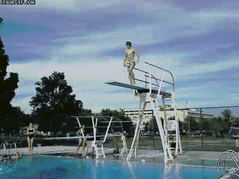 diving swimming GIF by Cheezburger