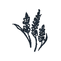 Plant Balance Sticker by Hartog Horsefeed