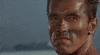 Arnold Schwarzenegger No GIF
