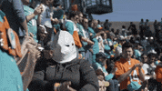 Suck It Miami Dolphins GIF by Dolfans NYC